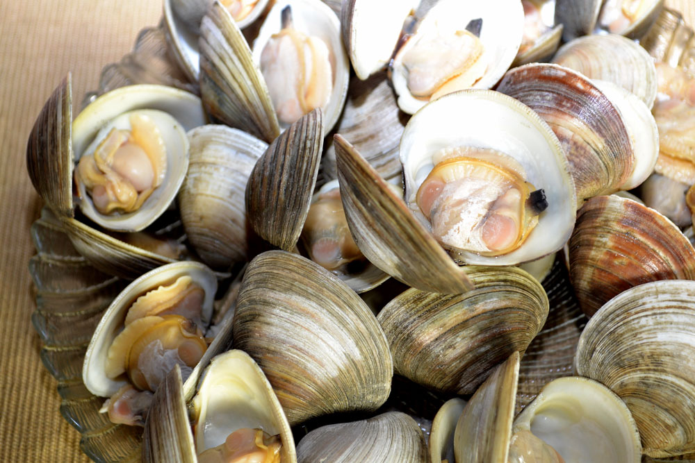 Steamed Littleneck Clams